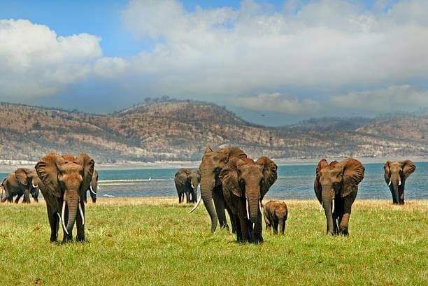 Kariba Budget Trip